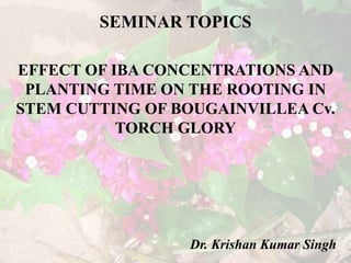 SEMINAR TOPICS
EFFECT OF IBA CONCENTRATIONS AND
PLANTING TIME ON THE ROOTING IN
STEM CUTTING OF BOUGAINVILLEA Cv.
TORCH GLORY
Dr. Krishan Kumar Singh
 