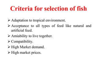 Criteria for selection of fish
 Adaptation to tropical environment.
 Acceptance to all types of feed like natural and
artificial feed.
 Amiability to live together.
 Compatibility.
 High Market demand.
 High market prices.
 