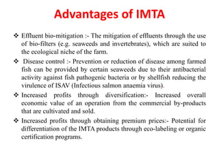 Advantages of IMTA
 Effluent bio-mitigation :- The mitigation of effluents through the use
of bio-filters (e.g. seaweeds and invertebrates), which are suited to
the ecological niche of the farm.
 Disease control :- Prevention or reduction of disease among farmed
fish can be provided by certain seaweeds due to their antibacterial
activity against fish pathogenic bacteria or by shellfish reducing the
virulence of ISAV (Infectious salmon anaemia virus).
 Increased profits through diversification:- Increased overall
economic value of an operation from the commercial by-products
that are cultivated and sold.
 Increased profits through obtaining premium prices:- Potential for
differentiation of the IMTA products through eco-labeling or organic
certification programs.
 