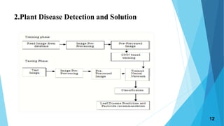 2.Plant Disease Detection and Solution
12
 