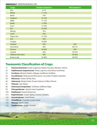 Crops Protein Content % Oil Content %
Rice 6-7%
Wheat 11-12%
Maize 10%
Sorghum 10-12%
Millet 11-12%
Barley 11.50%
Gram 21.10%
Pea 22.50%
Moong 25%
Lentil 25%
Pigeon Pea 21-25%
Urd 24%
Cowpea 23.40%
Soybean 42% 20%
Groundnut 26% 46-51%
Sesame 18-20% 50%
Linseed 36% 50-55%
Saﬄower (Oil cakes) 30% 40-50%
Brassica spp. 35-40% 40-45%
Taxonomic Classi cation of Crops
(1) Poaceae (Graminae)-cereals, Sugarcane, Napier, Para grass, Bamboo , Vetivar .
(2) Papilionaceae (Leguminosae) -Pulses, Legumes, Groundnut, Sunnhemp.
(3) Cruciferae- Mustard, Radish, Cabbage, Cauli ower, Knolkhol.
(4) Cucurbitaceae- Bottle gourd, Bitter gourd , Cucumber, Pumpkin, Squashes.
(5) Malvaceae –Cotton, Bhindi, Rose.
(6) Solanaceae- Brinjal, Potato, Tomato, Tobacco, Chillies, Petunia.
(7) Tiliaceae- Jute, Phalsa.
(8) Asteraceae (Compositae) - Sun ower, Saﬄower, Niger.
(9) Chenopodiaceae - Spinach, beet, Sugarbeet.
(10) Pedaliaceae -Sesame (Sesamum)
(11) Euphorbiaceae - Castor, Tapioca, Cassava, Jatropha.
(12) Convolvulaceae - Sweet Potato.
(13) Umbelliferae - Coriarder, Cumin, Carrot.
(14) Aliaceae - Onion, Garlic.
(15) Zingiberaceae - Ginger, Turmeric.
12
INDOGULF CROPSCIENCES LTD.
 