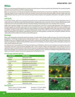 Mites
Mites are small arthropods belonging to the subclass Acari (also known as Acarina) and the class Arachnida.The scienti c discipline
devotedtothestudyofticksandmitesiscalledacarology.
Mites are common pests in landscapes and gardens that feed on many fruit trees, vines, berries, vegetables, and ornamental plants.
Although related to insects, mites aren’t insects but members of the arachnid class along with spiders and ticks. Spider mites, also
called webspinning mites, are the most common mite pests and among the most ubiquitous of all pests in the garden and on the
farm.
LifeCycle
InsomepartsofIndia,spidermitesmayfeedandreproduceallyearonplantsthatretaintheirgreenleavesthroughoutthewinter.In
colder areas and on deciduous trees that drop their leaves, webspinning mites overwinter as red or orange mated females under
roughbarkscalesandingroundlitterandtrash.Theybeginfeedingandlayingeggswhenwarmweatherreturnsinspring.
Spider mites reproduce rapidly in hot weather and commonly become numerous in June through September. If the temperature
and food supplies are favorable, a generation can be completed in less than a week . Spider mites prefer hot, dusty conditions and
usuallyare rstfoundontreesorplantsadjacenttodustyroadwaysoratmarginsofgardens.Plantsunderwaterstressalsoarehighly
susceptible. As foliage quality declines on heavily infested plants, female mites catch wind currents and disperse to other plants.
High mite populations may undergo a rapid decline in late summer when predators overtake them, host plant conditions become
unfavorable,andtheweatherturnscooleraswellasfollowingrain.
Damage
Mites cause damage by sucking cell contents from leaves. A small number of mites usually isn’t reason for concern, but very high
populations—levels high enough to show visible damage to leaves—can damage plants, especially herbaceous ones. At rst, the
damage shows up as a stippling of light dots on the leaves; sometimes the leaves take on a bronze color. As feeding continues, the
leavesturnyellowishorreddishanddropoﬀ.Often,largeamountsofwebbingcoverleaves,twigs,andfruit.Damageisusuallyworse
whencompoundedbywaterstress.
Lossofleaveswon’tcauseyieldlossesinfruittreesduring theyearofinfestationunlessitoccursinspring orveryearly summer,butit
may impact next year’s crop. On annual vegetable crops—such as squash, melons, and watermelons—loss of leaves can have a
signi cantimpactonyieldandleadtosunburning.Oncropssuchassugarpeasandbeans,wherepodsareattacked,spidermitescan
cause direct damage. On ornamentals, mites are primarily an aesthetic concern, but they can kill plants if populations become very
highonannualplants.Spidermitesarealsoimportantpestsof eld-grownroses.
List of crops and mite species
Crop name Mite species
Soybean Tetranychus uritice
Brinjal Tetranychus cinnabarinus
Cucurbit Family Tetranychus neocalendonieus
Chilli Polyphagotarsonemus latus
Tomato Tetranychus neocalendonieus
Pulses Tetranychus ludeni
Paddy Schizoleranyenus cajani
Sugarcane O. indieus
Wheat Petrobia lateens
Cotton Tetranychus uritice
Tea Brevipalpus phoenicis , Acaphylla theae
Apple Panonyehus ulmi
Lemon, Kinnu Eutertanychus orientalis
Jasmine Tetranychus neocalendonieus
Rose Tetranychus uritice
Management
Alishan super @ 1.5-2 ml/Ltr. Water Biomite @ 1.5-2 ml/Ltr. Water
Dicofol @ 4 ml/Ltr. Water Rusmite @ 3 ml/Ltr. water
19
Red miteRed miteRed mite
Yellow miteYellow miteYellow mite
Brown miteBrown miteBrown mite
KRISHI MITRA - 2017
 