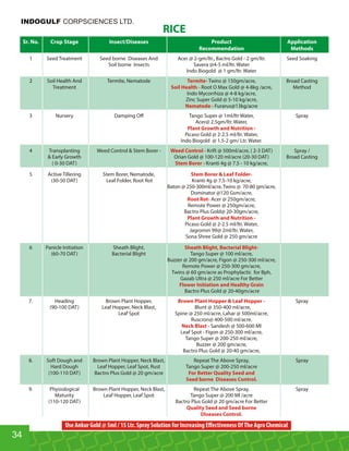 RICE
Sr. No. Crop Stage Insect/Diseases Product Application
Recommendation Methods
1 Seed Treatment Seed borne Diseases And Acer @ 2-gm/ltr., Bactro Gold - 2 gm/ltr. Seed Soaking
Soil borne Insects Savera @4-5 ml/ltr. Water
Indo Biogold @ 1 gm/ltr. Water
2 Soil Health And Termite, Nematode Twins @ 150gm/acre, Broad CastingTermite-
Treatment Root O Max Gold @ 4-8kg /acre, MethodSoil Health -
Indo Mycorrhiza @ 4-8 kg/acre,
Zinc Super Gold @ 5-10 kg/acre,
Furarus@13kg/acreNematode -
3 Nursery Damping Oﬀ Tango Super @ 1ml/ltr Water, Spray
Acer@ 2.5gm/ltr. Water,
Plant Growth and Nutrition -
Picaso Gold @ 2-2.5 ml/ltr. Water,
Indo Biogold @ 1.5-2 gm/ Ltr. Water.
4 Transplanting Weed Control  Stem Borer - Krift @ 500ml/acre, ( 2-3 DAT) Spray /Weed Control -
 Early Growth Orian Gold @ 100-120 ml/acre (20-30 DAT) Broad Casting
( 0-30 DAT) Kranti 4g @ 7.5 - 10 kg/acre,Stem Borer -
5 Active Tillering Stem Borer, Nematode, Stem Borer  Leaf Folder-
(30-50 DAT) Leaf Folder, Root Rot Kranti 4g @ 7.5-10 kg/acre,
Baton @ 250-300ml/acre,Twins @ 70-80 gm/acre,
Dominator @120 Gsm/acre,
Acer @ 250gm/acre,Root Rot-
Remote Power @ 250gm/acre,
Bactro Plus Gold@ 20-30gm/acre,
Plant Growth and Nutrition -
Picaso Gold @ 2-2.5 ml/ltr. Water,
Jagromin 99@ 2ml/ltr. Water,
Sona Shree Gold @ 250 gm/acre
6 Panicle Initiation Sheath Blight, Sheath Blight, Bacterial Blight-
(60-70 DAT) Bacterial Blight Tango Super @ 100 ml/acre,
Buzzer @ 200 gm/acre, Figon @ 250-300 ml/acre,
Remote Power @ 250-300 gm/acre,
Twins @ 60 gm/acre as Prophylactic for Bph,
Gazab Ultra @ 250 ml/acre For Better
Flower Initiation and Healthy Grain
Bactro Plus Gold @ 20-40gm/acre
7. Heading Brown Plant Hopper, SprayBrown Plant Hopper  Leaf Hopper -
(90-100 DAT) Leaf Hopper, Neck Blast, Blunt @ 350-400 ml/acre,
Leaf Spot Spine @ 250 ml/acre, Lahar @ 500ml/acre,
Ruscron@ 400-500 ml/acre.
Sandesh @ 500-600 MlNeck Blast -
Leaf Spot - Figon @ 250-300 ml/acre,
Tango Super @ 200-250 ml/acre,
Buzzer @ 200 gm/acre,
Bactro Plus Gold @ 20-40 gm/acre,
8. Soft Dough and Brown Plant Hopper, Neck Blast, Repeat The Above Spray, Spray
Hard Dough Leaf Hopper, Leaf Spot, Rust Tango Super @ 200-250 ml/acre
(100-110 DAT) Bactro Plus Gold @ 20 gm/acre For Better Quality Seed and
Seed borne Diseases Control.
9. Physiological Brown Plant Hopper, Neck Blast, Repeat The Above Spray, Spray
Maturity Leaf Hopper, Leaf Spot Tango Super @ 200 Ml /acre
(110-120 DAT) Bactro Plus Gold @ 20 gm/acre For Better
Quality Seed and Seed borne
Diseases Control.
34
INDOGULF CORPSCIENCES LTD.
Use Ankur Gold @ 5ml / 15 Ltr. Spray Solution for Increasing Eﬀectiveness OfThe Agro Chemical
 