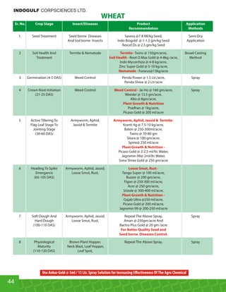 Sr. No. Crop Stage Insect/Diseases Product Application
Recommendation Methods
1. Seed Treatment Seed borne Diseases Savera @7-8 Ml/kg Seed, Semi Dry
And Soil borne Insects Indo Biogold @ 1-1.5 gm/kg Seed Application
Rexcel Ds @ 2.5 gm/kg Seed
2 Soil Health And Termite  Nematode Twins @ 150gm/acre, Broad CastingTermite-
Treatment Root O Max Gold @ 4-8kg /acre, MethodSoil Health -
Indo Mycorrhiza @ 4-8 kg/acre,
Zinc Super Gold @ 5-10 kg/acre,
Furarus@13kg/acreNematode -
3 Germination (4-5 DAS) Weed Control Penda Power @ 1.5 Ltr./acre, Spray
Penda Shree @ 2 Ltr/acre
4 Crown Root Initiation Weed Control Jai Ho @ 160 gm/acre, SprayWeed Control -
(21-25 DAS) Weeder @ 13.5 gm/acre,
Alto @ 8gm/acre,
Plant Growth  Nutrition
Pradhan @ 1kg/acre,
Picaso Gold @ 200 ml/acre
5 Active Tillering To Armyworm, Aphid, Armyworm, Aphid, Jassid  Termite-
Flag Leaf Stage To Jassid  Termite Kranti 4g @ 7.5-10 kg/acre,
Jointing Stage Baton @ 250-300ml/acre,
(30-60 DAS) Twins @ 70-80 gm
Sitara @ 100 gm/acre,
Spine@ 250 ml/acre
Plant Growth  Nutrition -
Picaso Gold @ 2-2.5 ml/ltr. Water,
Jagromin 99@ 2ml/ltr. Water,
Sona Shree Gold @ 250 gm/acre
6 Heading To Spike Armyworm, Aphid, Jassid, Loose Smut, Rust -
Emergance Loose Smut, Rust, Tango Super @ 100 ml/acre,
(65-105 DAS) Buzzer @ 200 gm/acre,
Figon @ 250-300 ml/acre,
Acer @ 250 gm/acre,
Srizole @ 300-400 ml/acre.
Plant Growth  Nutrition -
Gajab Ultra @250 ml/acre,
Picaso Gold @ 200 ml/acre,
Jagromin 99 @ 200-250 ml/acre
7 Soft Dough And Armyworm, Aphid, Jassid, Repeat The Above Spray, Spray
Hard Dough Loose Smut, Rust, Aman @ 250gm/acre And
(100-110 DAS) Bactro Plus Gold @ 20 gm /acre
For Better Quality Seed and
Seed borne Diseases Control.
8 Physiological Brown Plant Hopper, Repeat The Above Spray, Spray
Maturity Neck Blast, Leaf Hopper,
(110-120 DAS) Leaf Spot,
44
WHEAT
INDOGULF CORPSCIENCES LTD.
Use Ankur Gold @ 5ml / 15 Ltr. Spray Solution for Increasing Eﬀectiveness OfThe Agro Chemical
 