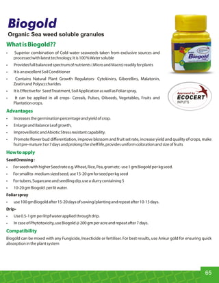 WhatisBiogold??
• Superior combination of Cold water seaweeds taken from exclusive sources and
processedwithlatesttechnology.Itis100%Watersoluble
• Providesfullbalancedspectrumofnutrients(MicroandMacro)readilyforplants
• ItisanexcellentSoilConditioner
• Contains Natural Plant Growth Regulators- Cytokinins, Giberellins, Malatonin,
ZeatinandPolyscccharides
• ItisEffectivefor SeedTreatment,SoilApplicationaswellasFoliarspray.
• It can be applied in all crops- Cereals, Pulses, Oilseeds, Vegetables, Fruits and
Plantationcrops.
Advantages
• Increasesthegerminationpercentageandyieldofcrop.
• EnlargeandBalanceLeafgrowth,
• ImproveBioticandAbioticStressresistantcapability.
• Promote flower bud differentiation, improve blossom and fruit set rate, increase yield and quality of crops, make
fruitpre-mature3or7daysandprolongtheshelflife,providesuniformcolorationandsizeoffruits
Howtoapply
SeedDressing:
• ForseedswithhigherSeedratee.g.Wheat,Rice,Pea,grametc-use1gmBiogoldperkgseed.
• Forsmallto mediumsizedseed,use15-20gmforseedperkgseed
• Fortubers,Sugarcaneandseedlingdip,useaslurrycontaining5
• 10-20gmBiogold perlitwater.
Foliarspray
• use100gmBiogoldafter15-20daysofsowing/plantingandrepeatafter10-15days.
Drip-
• Use0.5-1gmperlitpfwaterappliedthroughdrip.
• IncaseofPhytotoxicity,useBiogold@200gmperacreandrepeatafter7days.
Compatibility
Biogold can be mixed with any Fungicide, Insecticide or fertiliser. For best results, use Ankur gold for ensuring quick
absorptionintheplantsystem
Biogold
Organic Sea weed soluble granules
Approved by
ECOCERT
INPUTS
65
 