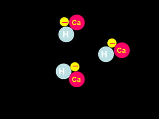 H H H Ca Ca Ca 