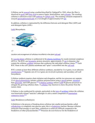 Cellulose can be assayed using a method described by Updegraff in 1969, where the fiber is
dissolved in acetic and nitric acid to remove lignin, hemicellulose, and xylosans. The resulting
cellulose is allowed to react with anthrone in sulfuric acid. The resulting coloured compound is
assayed spectrophotometrically at a wavelength of approximately 635 nm.

In addition, cellulose is represented by the difference between acid detergent fiber (ADF) and
acid detergent lignin (ADL).

[edit] Biosynthesis




Location and arrangement of cellulose microfibrils in the plant cell wall

In vascular plants cellulose is synthesized at the plasma membrane by rosette terminal complexes
(RTCs). The RTCs are hexameric protein structures, approximately 25 nm in diameter, that
contain the cellulose synthase enzymes that synthesise the individual cellulose chains.[20] Each
RTC floats in the cell's plasma membrane and "spins" a microfibril into the cell wall.

RTCs contain at least three different cellulose synthases, encoded by CesA genes, in an unknown
stoichiometry.[21] Separate sets of CesA genes are involved in primary and secondary cell wall
biosynthesis.

Cellulose synthesis requires chain initiation and elongation, and the two processes are separate.
CesA glucosyltransferase initiates cellulose polymerization using a steroid primer, sitosterol-
beta-glucoside, and UDP-glucose.[22] Cellulose synthase utilizes UDP-D-glucose precursors to
elongate the growing cellulose chain. A cellulase may function to cleave the primer from the
mature chain.

Cellulose is also synthesised by animals, particularly in the tests of ascidians (where the cellulose
was historically termed "tunicine") although it is also a minor component of mammalian
connective tissue.[23]

[edit] Breakdown (cellulolysis)

Cellulolysis is the process of breaking down cellulose into smaller polysaccharides called
cellodextrins or completely into glucose units; this is a hydrolysis reaction. Because cellulose
molecules bind strongly to each other, cellulolysis is relatively difficult compared to the
breakdown of other polysaccharides.[24] Processes do exist however for the breakdown of
 
