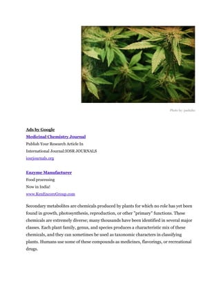 Photo by: pashabo




Ads by Google
Medicinal Chemistry Journal
Publish Your Research Article In
International Journal:IOSR JOURNALS
iosrjournals.org


Enzyme Manufacturer
Food processing
Now in India!
www.KenEncoreGroup.com


Secondary metabolites are chemicals produced by plants for which no role has yet been
found in growth, photosynthesis, reproduction, or other "primary" functions. These
chemicals are extremely diverse; many thousands have been identified in several major
classes. Each plant family, genus, and species produces a characteristic mix of these
chemicals, and they can sometimes be used as taxonomic characters in classifying
plants. Humans use some of these compounds as medicines, flavorings, or recreational
drugs.
 