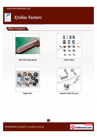Other Products:




         Self Clinching Studs            Clinch Nuts




             Cage Nuts               Socket Head Screws




                                14
 