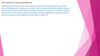 DNA analysis for species identification
Identifying the correct species is the important initial step for estimating the age of the
larvae. Morphological comparison is usually used for species identification which requires
special expertise and is often time-consuming. In order to overcome this difficulty species
identification can be done by polymerized chain reaction amplification suitable regions of
the larvae genomes and comparing it with reference data.[10]
 