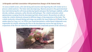 Arthropodes and their association with postmortem changes of the human body
As soon as death occurs, cells start dying and enzymes start digesting the cells inside out in a
process called autolysis. The body starts decomposing. Bacteria present in the gastrointestinal
tract start destroying the soft tissue producing liquids and gases like hydrogen sulphide, carbon
dioxide, methane, ammonia, sulfur dioxide and hydrogen. The volatile molecules called
apeneumones escaping from the decomposing body attract insects. Researchers are able to
isolate the volatile chemicals released at different stages of decomposition of the body. The
volatile molecules released during each stage can modify the insect behavior.[4] Based on the
studies done by Crag et al., in 1950 it was found that putrative sulfur-based compounds were
responsible for initially attracting the flies to the decomposing carcass but egg laying or
oviposition of the flies are induced by ammonium-rich compounds present on the carrion.[5]
 