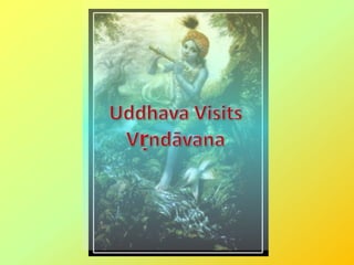 Uddhava Visits Vṛndāvana 