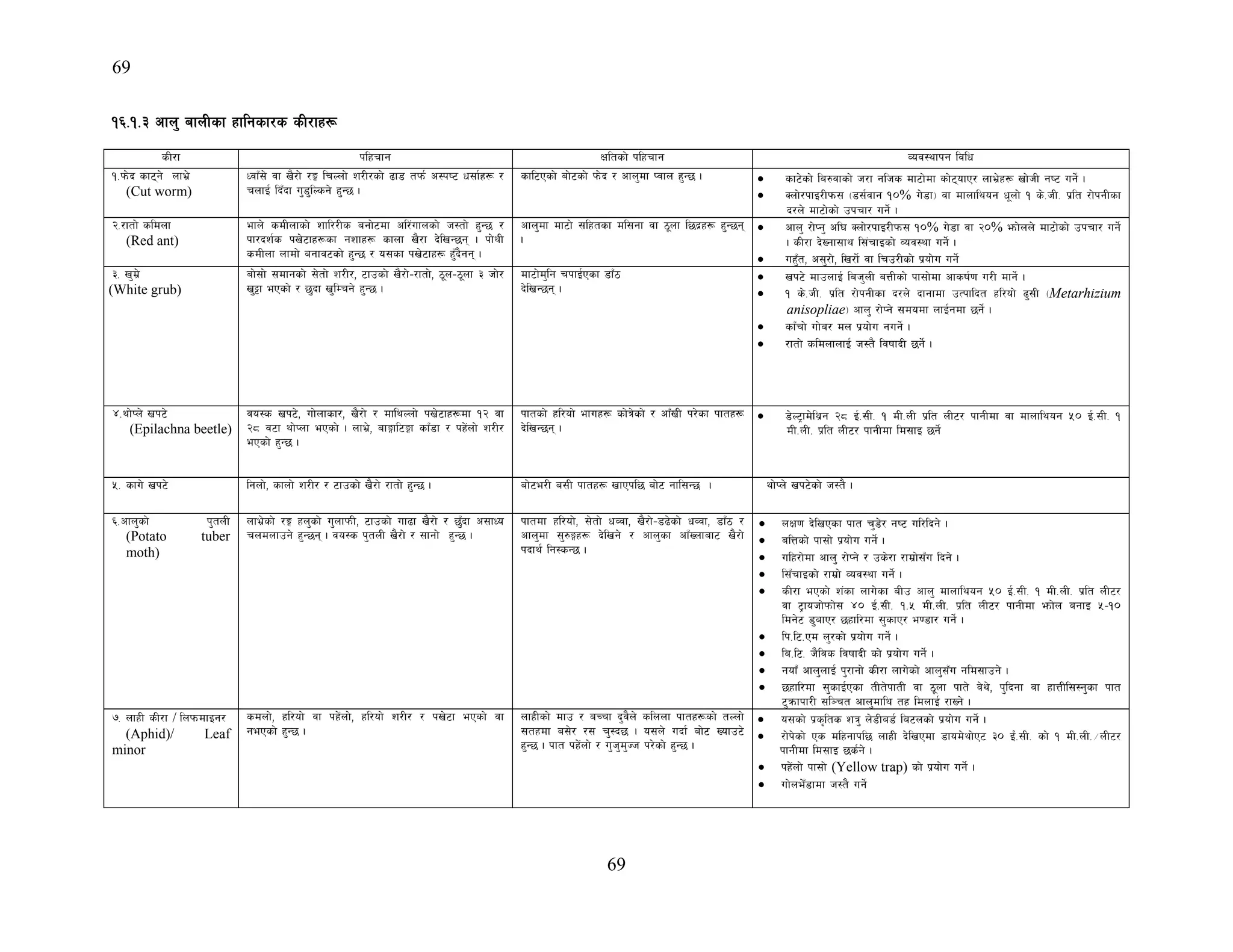69
69
!^=!=# cfn' afnLsf xflgsf/s sL/fx¿
sL/f klxrfg Ifltsf] klxrfg Joj:yfkg ljlw
!=km]b sf6g] nfe|]
(Cut worm)
WjfF;] jf v}/f] /Ë lrNnf] z/L/sf] 9f8 tkm{ c:ki6 w;f{x¿ /
rnfO{ lbFbf u'8'lNsg] x'G5 .
sfl6Psf] af]6sf] km]b / cfn'df Kjfn x'G5 . • sf6]sf] la?jfsf] h/f glhs df6f]df sf]6ofP/ nfe]|x¿ vf]hL gi6 ug{] .
• Snf]/kfO/Lkm; -8;{jfg !)% u]8f_ jf dfnflyog w"nf] ! s]=hL= k|lt /f]kgLsf
b/n] df6f]sf] pkrf/ ug{] .
@=/ftf] sldnf
(Red ant)
efn] sdLnfsf] zfl//Ls agf]6df cl/+ufnsf] h:tf] x'G5 /
kf/bz{s kv]6fx¿sf gzfx¿ sfnf v}/f b]lvG5g . kf]yL
sdLnf nfdf] agfj6sf] x'G5 / o;sf kv]6fx¿ x'Fb}gg .
cfn'df df6f] ;lxtsf dl;gf jf 7"nf l5b|x¿ x'G5g
.
• cfn' /f]Kg' cl3 Snf]/kfO/Lkm; !)% u]8f jf @)% emf]nn] df6f]sf] pkrf/ ug{]
. sL/f b]Vgf;fy l;+rfOsf] Joj:yf ug{] .
• ux'Ft, c;'/f], lv/f{] jf lrp/Lsf] k|of]u ug]{
#= v'd|]
(White grub)
af];f] ;dfgsf] ;]tf] z/L/, 6fpsf] v}/f]–/ftf], 7"n–7"nf # hf]/
v'§f ePsf] / 5'bf v'lDrg] x'G5 .
df6f]d'lg rkfO{Psf 8fF7
b]lvG5g .
• vk6] dfpnfO{ lah'nL aQLsf] kf;f]df cfsif{0f u/L dfg]{ .
• ! s]=hL= k|lt /f]kgLsf b/n] bfgfdf pTkflbt xl/of] 9';L -Metarhizium
anisopliae_ cfn' /f]Kg] ;dodf nfO{gdf 5g]{ .
• sfFrf] uf]a/ dn k|of]u gug{] .
• /ftf] sldnfnfO{ h:t} ljiffbL 5g{] .
$=yf]Kn] vk6]
(Epilachna beetle)
jo:s vk6], uf]nfsf/, v}/f] / dflyNnf] kv]6fx¿df !@ jf
@* j6f yf]Knf ePsf] . nfe|], afËfl6Ëf sfF8f / kx]+nf] z/L/
ePsf] x'G5 .
kftsf] xl/of] efux¿ sf]q]sf] / cfFvL k/]sf kftx¿
b]lvG5g .
• 8]N6«fd]ly|g @* O{=;L= ! dL=nL k|lt nL6/ kfgLdf jf dfnflyog %) O{=;L= !
dL=nL= k|lt nL6/ kfgLdf ld;fO 5g]{
%= sfu] vk6] lgnf], sfnf] z/L/ / 6fpsf] v}/f] /ftf] x'G5 . af]6e/L a;L kftx¿ vfPkl5 af]6 gfl;G5 . yf]Kn] vk6]sf] h:t} .
^=cfn'sf] k'tnL
(Potato tuber
moth)
nfe|]sf] /Ë xn'sf] u'nfkmL, 6fpsf] uf9f v}/f] / 5'Fbf c;fWo
rndnfpg] x'G5g . jo:s k'tnL v}/f] / ;fgf] x'G5 .
kftdf xl/of], ;]tf] wJjf, v}/f]–89]sf] wJjf, 8fF7 /
cfn'df ;'?Ëx¿ b]lvg] / cfn'sf cfFVnfaf6 v}/f]
kbfy{ lg:sG5 .
• nIf0f b]lvPsf kft r'8]/ gi6 ul/lbg] .
• alQsf] kf;f] k|of]u ug]{ .
• ulx/f]df cfn' /f]Kg] / ps]/f /fd|f];Fu lbg] .
• l;FrfOsf] /fd|f] Joj:yf ug{] .
• sL/f ePsf] z+sf nfu]sf aLp cfn' dfnflyog %) O{=;L= ! dL=nL= k|lt nL6/
jf 6«fohf]kmf]; $) O{=;L= !=% dL=nL= k|lt nL6/ kfgLdf ´f]n agfO %–!)
ldg]6 8'afP/ 5xfl/df ;'sfP/ e08f/ ug{] .
• lk=l6=Pd n'/sf] k|of]u ug{] .
• la=l6= h}ljs ljiffbL sf] k|of]u ug{] .
• gofF cfn'nfO{ k'/fgf] sL/f nfu]sf] cfn';Fu gld;fpg] .
• 5xfl/df ;'sfO{Psf tLt]kftL jf 7"nf kft] j]y], k'lbgf jf xfQLl;:g'sf kft
6'qmfkf/L ;l~rt cfn'dfly tx ldnfO{ /fVg] .
&= nfxL sL/f / lnkmdfOg/
(Aphid)/ Leaf
minor
sdnf], xl/of] jf kx]+nf], xl/of] z/L/ / kv]6f ePsf] jf
gePsf] x'G5 .
nfxLsf] dfp / aRrf b'j}n] slnnf kftx¿sf] tNnf]
;txdf a;]/ /; r':b5 . o;n] ubf{ af]6 Vofp6]
x'G5 . kft kx]+nf] / u'h'd'Hh k/]sf] x'G5 .
• o;sf] k|s[lts zq' n]8La8{ la6nsf] k|of]u ug]{ .
• /f]k]sf] Ps dlxgfkl5 nfxL b]lvPdf 8fod]yf]P6 #) O{+=;L= sf] ! dL=nL=÷nL6/
kfgLdf ld;fO 5s{g] .
• kx]+nf] kf;f] (Yellow trap) sf] k|of]u ug]{ .
• uf]ne]F8fdf h:t} ug]{
 