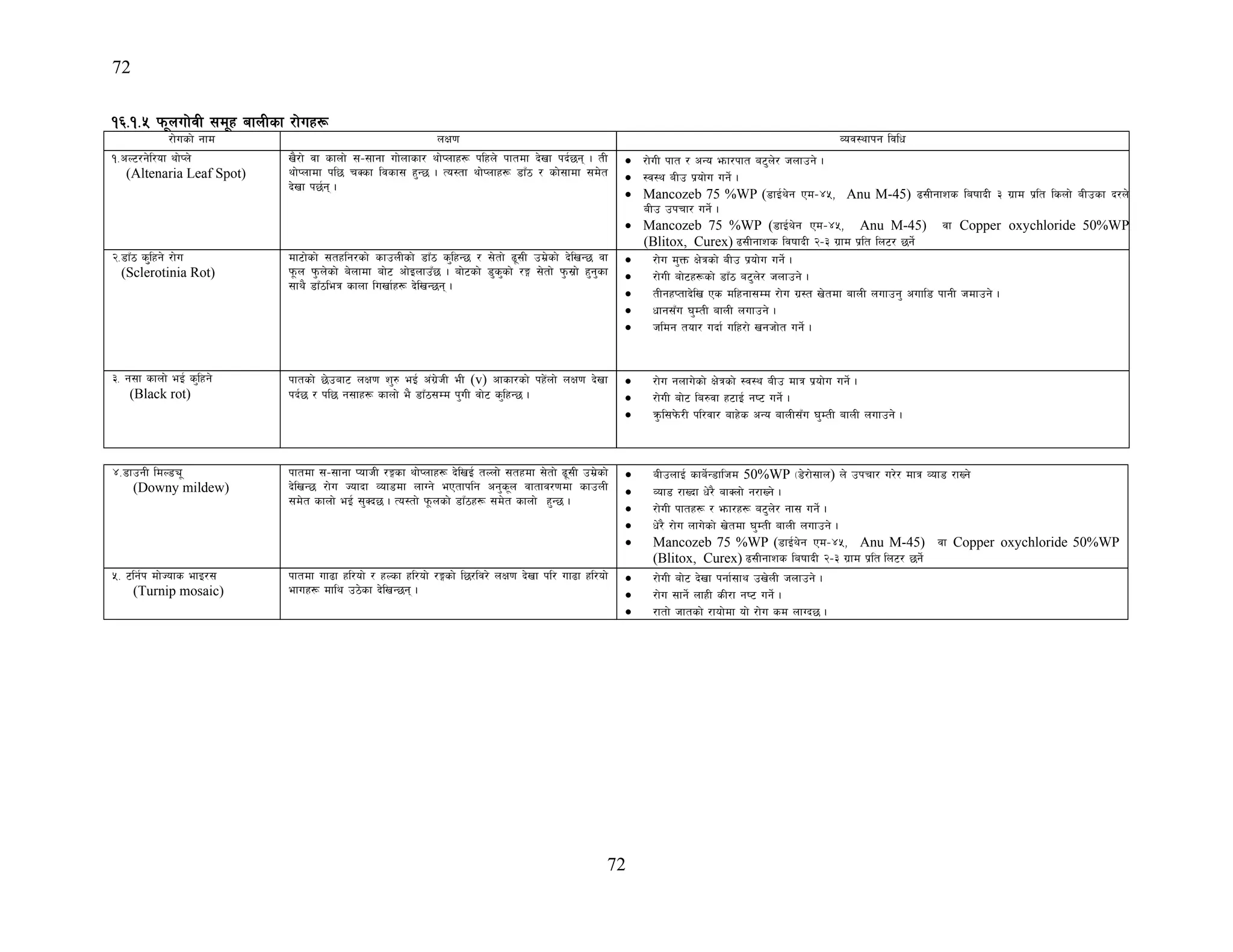 72
72
!^=!=% km"nuf]jL ;d"x afnLsf /f]ux¿
/f]usf] gfd nIf0f Joj:yfkg ljlw
!=cN6/g]l/of yf]Kn]
(Altenaria Leaf Spot)
v}/f] jf sfnf] ;–;fgf uf]nfsf/ yf]Knfx¿ klxn] kftdf b]vf kb{5g . tL
yf]Knfdf kl5 rSsf ljsf; x'G5 . To:tf yf]Knfx¿ 8fF7 / sf];fdf ;d]t
b]vf k5{g .
• /f]uL kft / cGo emf/kft a6'n]/ hnfpg] .
• :j:y aLp k|of]u ug]{ .
• Mancozeb 75 %WP (8fO{y]g Pd–$%, Anu M-45) 9;Lgfzs laiffbL # u|fd k|lt lsnf] aLpsf b/n]
aLp pkrf/ ug]{ .
• Mancozeb 75 %WP (8fO{y]g Pd–$%, Anu M-45) jf Copper oxychloride 50%WP
(Blitox, Curex) 9;Lgfzs ljiffbL @–# u|fd k|lt ln6/ 5g]{
@=8fF7 s''lxg] /f]u
(Sclerotinia Rot)
df6f]sf] ;txlg/sf] sfpnLsf] 8fF7 s'lxG5 / ;]tf] 9";L pd|]sf] b]lvG5 jf
k"mn k'mn]sf] a]nfdf af]6 cf]OnfpF5 . af]6sf] 8's'sf] /Ë ;]tf] k'm;|f] x'g'sf
;fy} 8fF7leq sfnf luvf{x¿ b]lvG5g .
• /f]u d'Qm If]qsf] aLp k|of]u ug]{ .
• /f]uL af]6x¿sf] 8fF7 a6'n]/ hnfpg] .
• tLgxKtfb]lv Ps dlxgf;Dd /f]u u|:t v]tdf afnL nufpg' cufl8 kfgL hdfpg] .
• wfg;Fu 3'DtL afnL nufpg] .
• hldg tof/ ubf{ ulx/f] vghf]t ug]{ .
#= g;f sfnf] eO{ s'lxg]
(Black rot)
kftsf] 5]paf6 nIf0f z'? eO{ c+u|]hL eL (v) cfsf/sf] kx]+nf] nIf0f b]vf
kb{5 / kl5 g;fx¿ sfnf] e} 8fF7;Dd k'uL jf]6 s'lxG5 .
• /f]u gnfu]sf] If]qsf] :j:y aLp dfq k|of]u ug]{ .
• /f]uL af]6 la?jf x6fO{ gi6 ug]{ .
• q'ml;k]m/L kl/jf/ afx]s cGo afnL;Fu 3'DtL afnL nufpg] .
$=8fpgL ldN8Ø"
(Downy mildew)
kftdf ;–;fgf KofhL /Ësf yf]Knfx¿ b]lvO{ tNnf] ;txdf ;]tf] 9";L pd|]sf]
b]lvG5 /f]u Hofbf Jof8df nfUg] ePtfklg cg's"n jftfj/0fdf sfpnL
;d]t sfnf] eO{ ;'Sb5 . To:tf] k"mnsf] 8fF7x¿ ;d]t sfnf] x'G5 .
• aLpnfO{ sfa]{G8flhd 50%WP -8]/f];fn) n] pkrf/ u/]/ dfq Jof8 /fVg]
• Jof8 /fVbf w]/} afSnf] g/fVg] .
• /f]uL kftx¿ / emf/x¿ a6'n]/ gf; ug]{ .
• w]/} /f]u nfu]sf] v]tdf 3'DtL afnL nufpg] .
• Mancozeb 75 %WP (8fO{y]g Pd–$%, Anu M-45) jf Copper oxychloride 50%WP
(Blitox, Curex) 9;Lgfzs laiffbL @–# u|fd k|lt ln6/ 5g]{
%= 6lg{k df]Hofs efO/;
(Turnip mosaic)
kftdf uf9f xl/of] / xNsf xl/of] /Ësf] l5/lj/] nIf0f b]vf kl/ uf9f xl/of]
efux¿ dfly p7]sf b]lvG5g .
• /f]uL af]6 b]vf kgf{;fy pv]nL hnfpg] .
• /f]u ;fg]{ nfxL sL/f gi6 ug]{ .
• /ftf] hftsf] /fof]df of] /f]u sd nfUb5 .
 