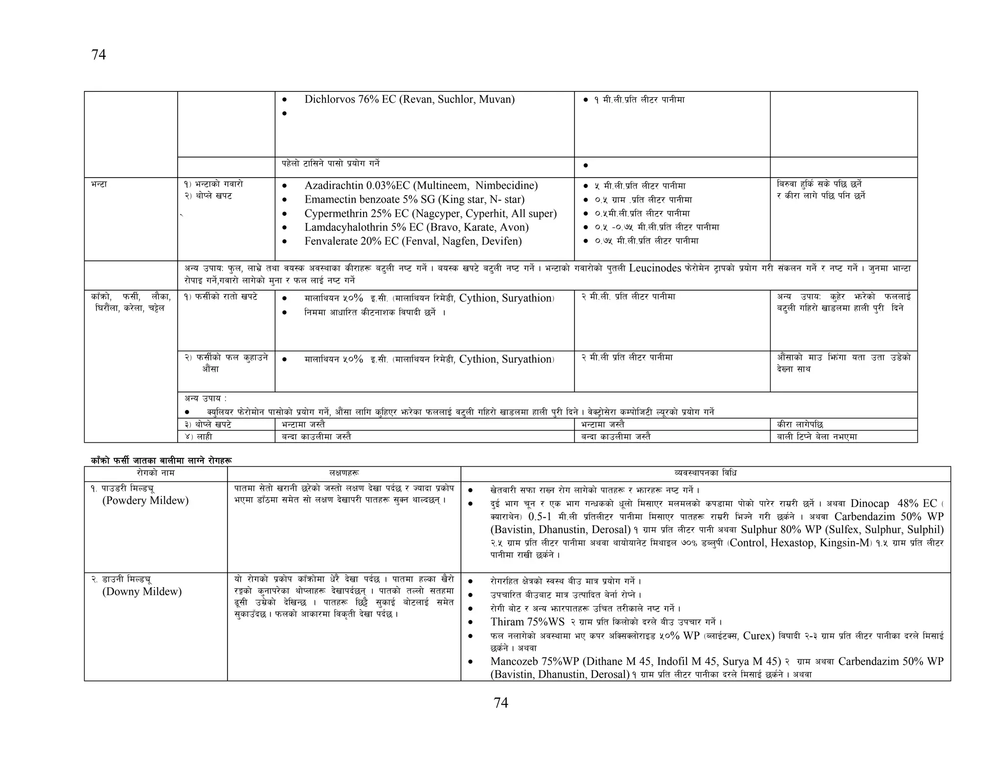 74
74
• Dichlorvos 76% EC (Revan, Suchlor, Muvan)
•
• ! dL=nL=k|lt nL6/ kfgLdf
kx]nf] 6fl;g] kf;f] k|of]u ug]{ •
eG6f !_ eG6fsf] ujf/f]
@_ yf]Kn] vk6
]
• Azadirachtin 0.03%EC (Multineem, Nimbecidine)
• Emamectin benzoate 5% SG (King star, N- star)
• Cypermethrin 25% EC (Nagcyper, Cyperhit, All super)
• Lamdacyhalothrin 5% EC (Bravo, Karate, Avon)
• Fenvalerate 20% EC (Fenval, Nagfen, Devifen)
• % dL=nL=k|lt nL6/ kfgLdf
• )=% u|fd =k|lt nL6/ kfgLdf
• )=%dL=nL=k|lt nL6/ kfgLdf
• )=% –)=&% dL=nL=k|lt nL6/ kfgLdf
• )=&% dL=nL=k|lt nL6/ kfgLdf
la?jf x'ls{ ;s] kl5 5g]{
/ sL/f nfu] kl5 klg 5g]{
cGo pkfoM k'mn, nfe|] tyf jo:s cj:yfsf sL/fx¿ a6'nL gi6 ug{] . ao:s vk6] a6'nL gi6 ug{] . eG6fsf] ujf/f]sf] k'tnL Leucinodes km]/f]d]g 6«fksf] k|of]u u/L ;+sng ug]{ / gi6 ug]{ . h'gdf efG6f
/f]kfO ug]{,ujf/f] nfu]sf] d'gf / kmn nfO{ gi6 ug]{
sfFqmf], km;L{, nf}sf,
l3/f+}nf, s/]nf, r§]n
!_ km;L{sf] /ftf] vk6] • dfnflyog %)% O=;L= -dfnflyog l/d]8L, Cythion, Suryathion_
• lgddf cfwfl/t sL6gfzs ljiffbL 5g]{ .
@ dL=nL= k|lt nL6/ kfgLdf cGo pkfoM s'x]/ em/]sf] kmnnfO{
a6'nL ulx/f] vf8ndf xfnL k'/L lbg]
@_ km;L{sf] kmn s'xfpg]
cf}+;f
• dfnflyog %)% O=;L= -dfnflyog l/d]8L, Cythion, Suryathion_ @ dL=nL k|lt nL6/ kfgLdf cf}+;fsf] dfp lem+uf otf ptf p8]sf]
b]Vgf ;fy
cGo pkfo M
• So'lno/ km]/f]df]g kf;f]sf] k|of]u ug]{, cf}+;f nflu s'lxP/ em/]sf kmnnfO{ j6'nL ulx/f] vf8ndf xfnL k'/L lbg] . j]S6«f];]/f sDkf]lh6L No"/sf] k|of]u ug]{
#_ yf]Kn] vk6] eG6fdf h:t} eG6fdf h:t} sL/f nfu]kl5
$_ nfxL aGbf sfpnLdf h:t} aGbf sfpnLdf h:t} afnL l6Kg] a]nf gePdf
sfFqmf] km;L{ hftsf afnLdf nfUg] /f]ux¿
/f]usf] gfd nIf0fx¿ Joj:yfkgsf ljlw
!= kfp8/L ldN8Ø"
(Powdery Mildew)
kftdf ;]tf] v/fgL 5/]sf] h:tf] nIf0f b]vf kb{5 / Hofbf k|sf]k
ePdf 8fF7df ;d]t ;f] nIf0f b]vfk/L kftx¿ ;'Sg yfNb5g .
• v]tjf/L ;kmf /fVg /f]u nfu]sf] kftx¿ / emf/x¿ gi6 ug]{ .
• b'O{ efu r"g / Ps efu uGwssf] w"nf] ld;fP/ dndnsf] sk8fdf kf]sf] kf/]/ /fd|/L 5g]{ . cyjf Dinocap 48% EC -
Sof/fy]g_ 0.5-1 dL=nL k|ltnL6/ kfgLdf ld;fP/ kftx¿ /fd|/L leHg] u/L 5s{g] . cyjf Carbendazim 50% WP
(Bavistin, Dhanustin, Derosal) ! u|fd k|lt nL6/ kfgL cyjf Sulphur 80% WP (Sulfex, Sulphur, Sulphil)
@=% u|fd k|lt nL6/ kfgLdf cyjf yfof]ofg]6 ldyfOn &)Ü 8An'kL -Control, Hexastop, Kingsin-M_ !=% u|fd k|lt nL6/
kfgLdf /fvL 5s{g] .
@= 8fpgL ldN8Ø"
(Downy Mildew)
of] /f]usf] k|sf]k sfFqmf]df w]/} b]vf kb{5 . kftdf xNsf v}/f]
/Ësf] s'gfk/]sf yf]Knfx¿ b]vfkb{5g . kftsf] tNnf] ;txdf
9";L pd|]sf] b]lvG5 . kftx¿ l5§} ;'sfO{ af]6nfO{ ;d]t
;'sfpFb5 . kmnsf] cfsf/df ljs[tL b]vf kb{5 .
• /f]u/lxt If]qsf] :j:y aLp dfq k|of]u ug]{ .
• pkrfl/t aLpaf6 dfq pTkflbt a]gf{ /f]Kg] .
• /f]uL af]6 / cGo emf/kftx¿ plrt t/Lsfn] gi6 ug]{ .
• Thiram 75%WS @ u|fd k|lt lsnf]sf] b/n] aLp pkrf/ ug]{ .
• kmn gnfu]sf] cj:Yffdf eP sk/ clS;Snf]/fO8 %)% WP -AnfO{6S;, Curex) ljiffbL @-# u|fd k|lt nL6/ kfgLsf b/n] ld;fO{
5s{g] . cyjf
• Mancozeb 75%WP (Dithane M 45, Indofil M 45, Surya M 45) @ u|fd cyjf Carbendazim 50% WP
(Bavistin, Dhanustin, Derosal) ! u|fd k|lt nL6/ kfgLsf b/n] ld;fO{ 5s{g] . cyjf
 