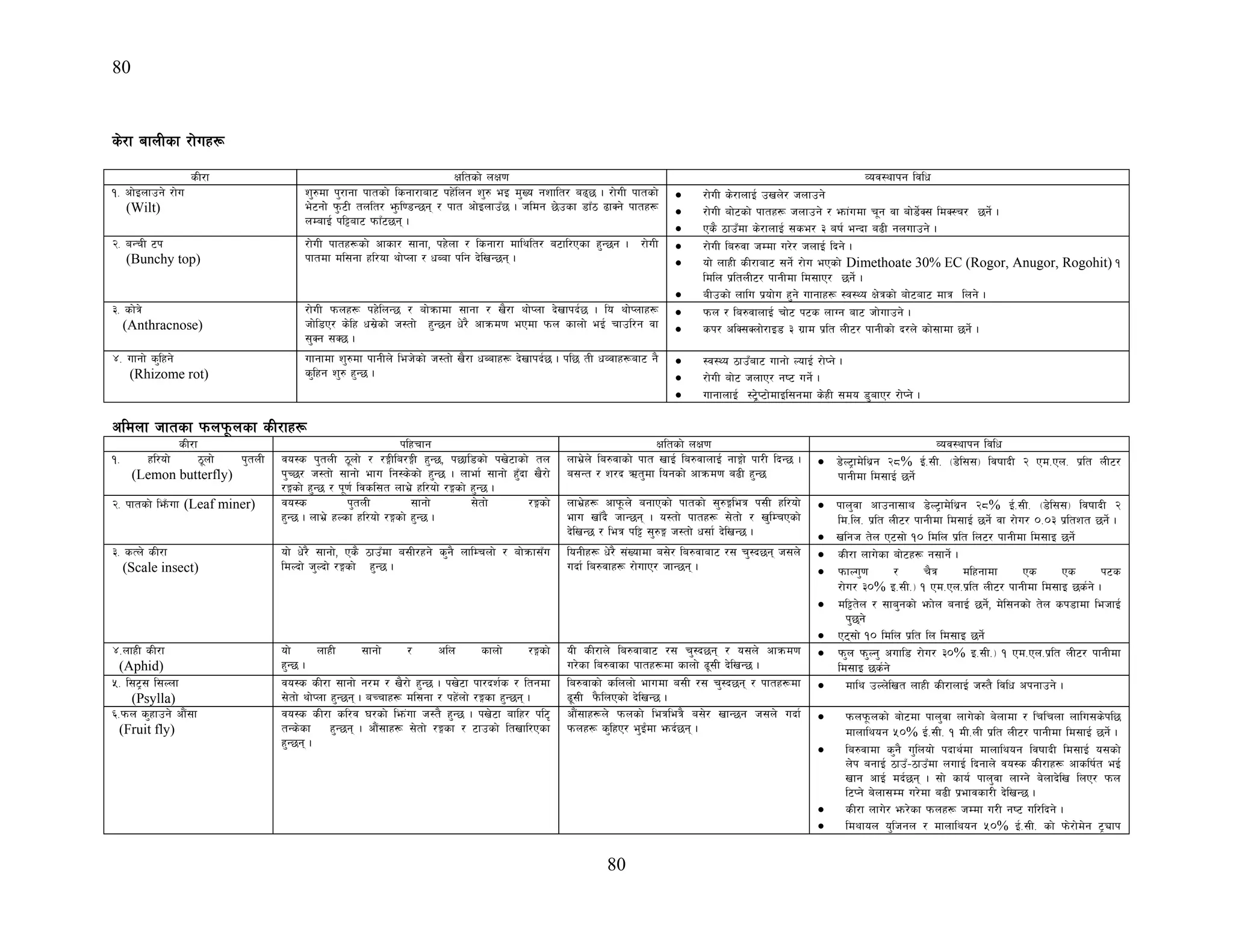 80
80
s]/f afnLsf /f]ux¿
sL/f Ifltsf] nIf0f Joj:yfkg ljlw
!= cf]Onfpg] /f]u
(Wilt)
z'?df k'/fgf kftsf] lsgf/faf6 kx+]lng z'? eO d'Vo gzflt/ a95 . /f]uL kftsf]
e]6gf]] k'm6L tnlt/ e'ml08G5g / kft cf]OnfpF5 . hldg 5]psf 8fF7 9fSg] kftx¿
nDafO{ kl§af6 kmfF65g .
• /f]uL s]/fnfO{ pvn]/ hnfpg]
• /f]uL af]6sf] kftx¿ hnfpg] / emf+udf r"g jf af]8]{S; ldS:r/ 5g]{ .
• Ps} 7fpFFdf s]/fnfO{ ;se/ # aif{ eGbf a9L gnufpg] .
@= aGrL 6k
(Bunchy top)
/f]uL kftx¿sf] cfsf/ ;fgf, kx]nf / lsgf/f dflylt/ a6fl/Psf x'G5g . /f]uL
kftdf dl;gf xl/of yf]Knf / wAaf klg b]lvG5g .
• /f]uL la?jf hDdf u/]/ hnfO{ lbg] .
• of] nfxL sL/faf6 ;g]{ /f]u ePsf] Dimethoate 30% EC (Rogor, Anugor, Rogohit) !
ldln k|ltnL6/ kfgLdf ld;fP/ 5g]{ .
• aLpsf] nflu k|of]u x'g] ufgfx¿ :j:Yo If]qsf] af]6af6 dfq lng] .
#= sf]q]
(Anthracnose)
/f]uL kmnx¿ kx]lnG5 / af]qmfdf ;fgf / v}/f yf]Knf b]vfkb{5 . lo yf]Knfx¿
hf]l8P/ s]lx w;|]sf] h:tf] x'G5g w]/} cfqmd0f ePdf kmn sfnf] eO{ rfpl/g jf
;'Sg ;S5 .
• kmn / la?jfnfO{ rf]6 k6s nfUg af6 hf]ufpg] .
• sk/ clS;Snf]/fO8 # u|fd k|lt nL6/ kfgLsf] b/n] sf];fdf 5g]{ .
$= ufgf] s'lxg]
(Rhizome rot)
ufgfdf z'?df kfgLn] leh]sf] h:tf] v}/f wAafx¿ b]vfkb{5 . kl5 tL wJjfx¿af6 g}
s'lxg z'? x'G5 .
• :j:Yo 7fpFFaf6 ufgf] NofO{ /f]Kg] .
• /f]uL af]6 hnfP/ gi6 ug]{ .
• ufgfnfO{ :6«]K6f]dfOl;gdf s]xL ;do 8'afP/ /f]Kg] .
cldnf hftsf kmnk"mnsf sL/fx¿
sL/f klxrfg Ifltsf] nIf0f Joj:yfkg ljlw
!= xl/of] 7"nf] k'tnL
(Lemon butterfly)
jo:s k'tnL 7"nf] / /ËLla/ËL x'G5, k5fl8sf] kv]6fsf] tn
k'R5/ h:tf] ;fgf] efu lg:s]sf] x'G5 . nfef{ ;fgf] x'Fbf v}/f]
/Ësf] x'G5 / k"0f{ ljsl;t nfe|] xl/of] /Ësf] x'G5 .
nfe|]n] la?jfsf] kft vfO{ la?jfnfO{ gfËf] kf/L lbG5 .
a;Gt / z/b Ct'df logsf] cfqmd0f a9L x'G5
• 8]N6«fd]ly|g @*% O{=;L= -8]l;;_ ljiffbL @ Pd=Pn= k|lt nL6/
kfgLdf ld;fO{ 5g{]
@= kftsf] leFmuf (Leaf miner) jo:s k'tnL ;fgf] ;]tf] /Ësf]
x'G5 . nfe|] xNsf xl/of] /Ësf] x'G5 .
nfe|]x¿ cfk"mn] agfPsf] kftsf] ;'?Ëleq k;L xl/of]
efu vfFb} hfG5g . o:tf] kftx¿ ;]tf] / v'lDrPsf]
b]lvG5 / leq kl§ ;'?Ë h:tf] w;f{ b]lvG5 .
• kfn'jf cfpgf;fy 8]N6«fd]ly|g @*% O{=;L= -8]l;;_ ljiffbL @
ld=ln= k|lt nL6/ kfgLdf ld;fO{ 5g]{ jf /f]u/ )=)# k|ltzt 5g]{ .
• vlgh t]n P6;f] !) ldln k|lt ln6/ kfgLdf ld;fO 5g]{
#= sTn] sL/f
(Scale insect)
of] w]/} ;fgf], Ps} 7fpFdf a;L/xg] s'g} nflDrnf] / af]qmf;Fu
ldNbf] h'Nbf] /Ësf] x'G5 .
logLx¿ w]/} ;+Vofdf a;]/ la?jfaf6 /; r':b5g h;n]
ubf{ la?jfx¿ /f]ufP/ hfG5g .
• sL/f nfu]sf af]6x¿ g;fg]{ .
• kmfNu'0f / r}q dlxgfdf Ps Ps k6s
/f]u/ #)% O=;L=_ ! Pd=Pn=k|lt nL6/ kfgLdf ld;fO 5s{g] .
• dl§t]n / ;fa'gsf] emf]n agfO{ 5g{], d]l;gsf] t]n sk8fdf lehfO{
k'5g]
• P6;f] !) ldln k|lt ln ld;fO 5g]{
$=nfxL sL/f
(Aphid)
of] nfxL ;fgf] / cln sfnf] /Ësf]
x'G5 .
oL sL/fn] la?jfaf6 /; r':b5g / o;n] cfqmd0f
u/]sf la?jfsf kftx¿df sfnf] 9";L b]lvG5 .
• km'n km'Ng' cufl8 /f]u/ #)% O=;L=_ ! Pd=Pn=k|lt nL6/ kfgLdf
ld;fO 5s{g]
%= l;6«; l;Nnf
(Psylla)
jo:s sL/f ;fgf] g/d / v}/f] x'G5 . kv]6f kf/bz{s / ltgdf
;]tf] yf]Knf x'G5g . aRrfx¿ dl;gf / kx+]nf] /Ësf x'G5g .
la?jfsf] slnnf] efudf a;L /; r':b5g / kftx¿df
9";L k}mlnPsf] b]lvG5 .
• dfly pNn]lvt nfxL sL/fnfO{ h:t} ljlw ckgfpg] .
^=kmn s'xfpg] cf}+;f
(Fruit fly)
jo:s sL/f sl/j 3/sf] lem+uf h:t} x'G5 . kv]6f aflx/ kl6[
tGs]sf x'G5g . cf}+;fx¿ ;]tf] /Ësf / 6fpsf] ltvfl/Psf
x'G5g .
cf}+;fx¿n] kmnsf] leqleq} a;]/ vfG5g h;n] ubf{
kmnx¿ s'lxP/ e'O{+df emb{5g .
• kmnk"mnsf] af]6df kfn'jf nfu]sf] a]nfdf / lrlrnf nflu;s]kl5
dfnflyog %)% O{=;L= ! dL=nL k|lt nL6/ kfgLdf ld;fO{ 5g]{ .
• la?jfdf s'g} u'lnof] kbfy{df dfnflyog ljiffbL ld;fO{ o;sf]
n]k agfO{ 7fpF–7fpFdf nufO{ lbgfn] jo:s sL/fx¿ cfslif{t eO{
vfg cfO{ db{5g . ;f] sfo{ kfn'jf nfUg] a]nfb]lv lnP/ kmn
l6Kg] a]nf;Dd u/]df a9L k|efjsf/L b]lvG5 .
• sL/f nfu]/ em/]sf kmnx¿ hDdf u/L gi6 ul/lbg] .
• ldyfon o'lhgn / dfnflyog %)% O{=;L= sf] km]/f]d]g 6«Øfk
 