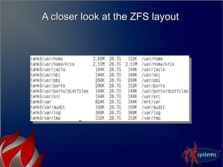 A closer look at the ZFS layoutA closer look at the ZFS layout
 