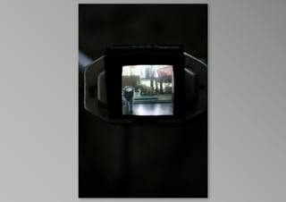 kotak kucing, by krisna satmoko