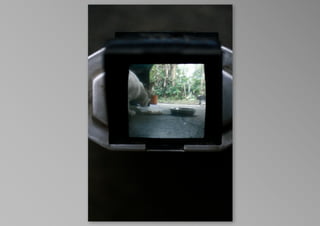 kotak kucing, by krisna satmoko