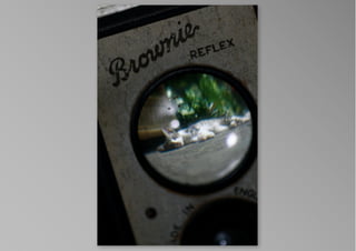 kotak kucing, by krisna satmoko