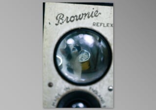 kotak kucing, by krisna satmoko