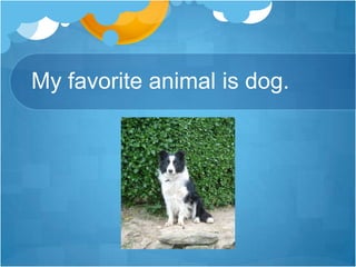 My favorite animal is dog.