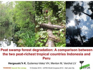 Peat swamp forest degradation: A comparison between 
the two peat-richest tropical countries Indonesia and 
THINKING beyond the canopy 
Peru 
Hergoualc’h K, Gutierrez-Velez VH, Menton M, Verchot LV 
10 October 2014 – IUFRO World Congress 2014 – Salt Lake City 
 