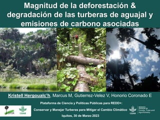 Kristell Hergoualc’h, Marcus M, Gutierrez-Velez V, Honorio Coronado E
Magnitud de la deforestación &
degradación de las turberas de aguajal y
emisiones de carbono asociadas
Plataforma de Ciencia y Políticas Públicas para REDD+:
Conservar y Manejar Turberas para Mitigar el Cambio Climático
Iquitos, 30 de Marzo 2023
 