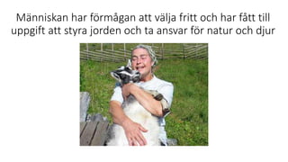 Människan har förmågan att välja fritt och har fått till
uppgift att styra jorden och ta ansvar för natur och djur
 