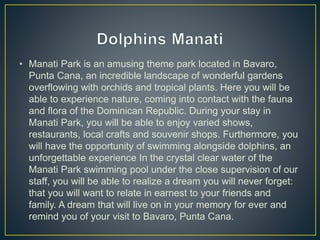 • Manati Park is an amusing theme park located in Bavaro,
Punta Cana, an incredible landscape of wonderful gardens
overflowing with orchids and tropical plants. Here you will be
able to experience nature, coming into contact with the fauna
and flora of the Dominican Republic. During your stay in
Manati Park, you will be able to enjoy varied shows,
restaurants, local crafts and souvenir shops. Furthermore, you
will have the opportunity of swimming alongside dolphins, an
unforgettable experience In the crystal clear water of the
Manati Park swimming pool under the close supervision of our
staff, you will be able to realize a dream you will never forget:
that you will want to relate in earnest to your friends and
family. A dream that will live on in your memory for ever and
remind you of your visit to Bavaro, Punta Cana.
 
