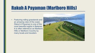 Rakuh A Payaman (Marlboro Hills)
• Featuring rolling grasslands and
an amazing view of the coast,
Rakuh A Payaman is one of the
most beautiful sights in Batanes.
It is often referred to as Marlboro
Hills or Marlboro Country by
many locals and travelers
 