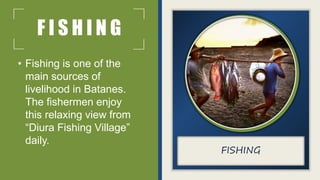 F I S H I N G
• Fishing is one of the
main sources of
livelihood in Batanes.
The fishermen enjoy
this relaxing view from
“Diura Fishing Village”
daily.
FISHING
 