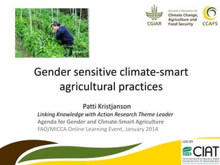 N. Palmer

Gender sensitive climate-smart
agricultural practices
Patti Kristjanson
Linking Knowledge with Action Research Theme Leader
Agenda for Gender and Climate-Smart Agriculture
FAO/MICCA Online Learning Event, January 2014

1

 