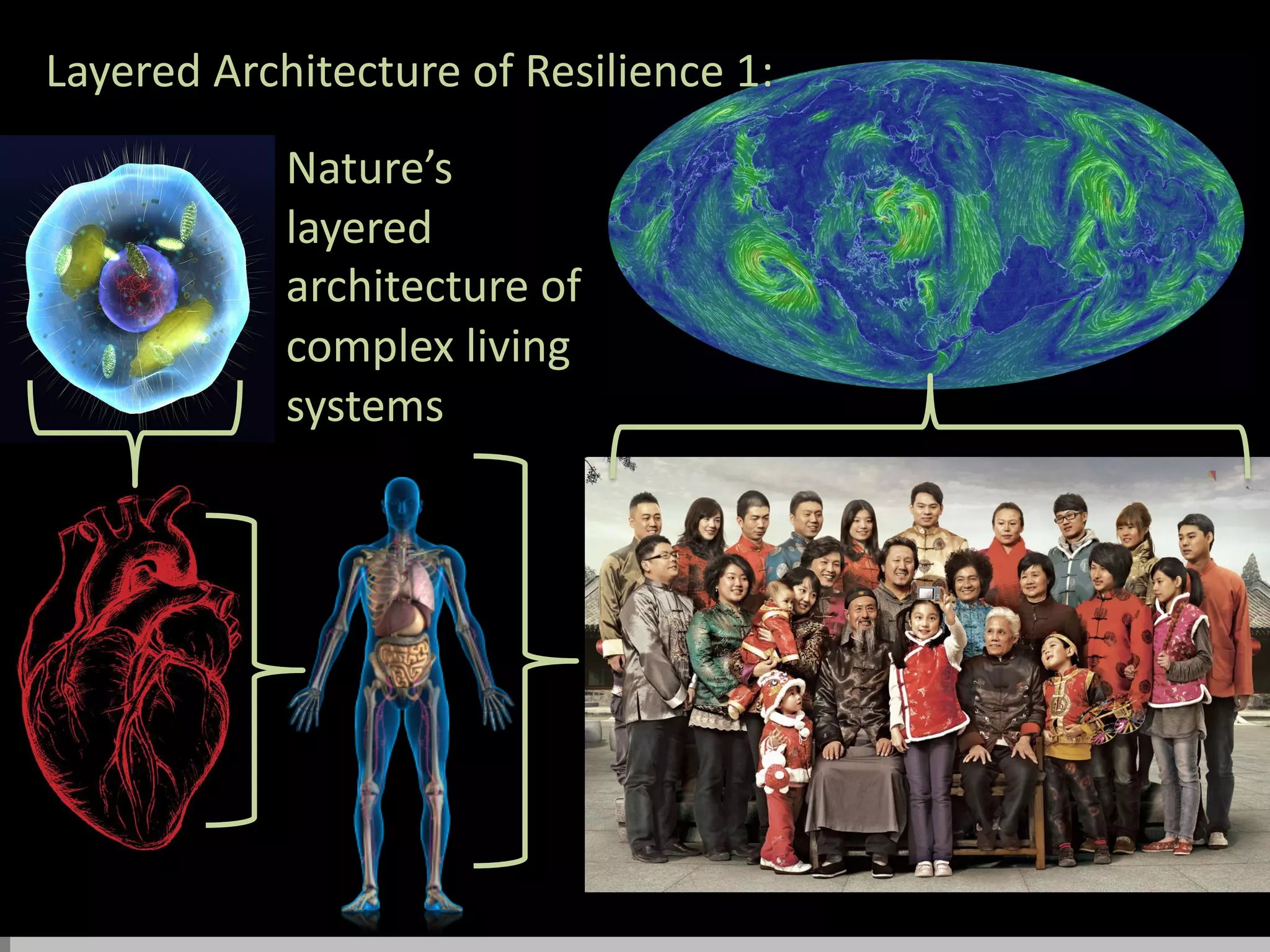 Layered Architecture of Resilience 1:
Nature’s
layered
architecture of
complex living
systems
 
