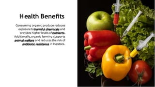 Curated visual reference: Fresh Look at Organic Farming Advantages Importance Pptx