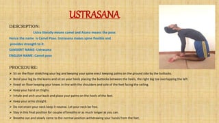 USTRASANA
DESCRIPTION:
Ustra literally means camel and Asana means the pose.
Hence the name is Camel Pose. Ustrasana makes...