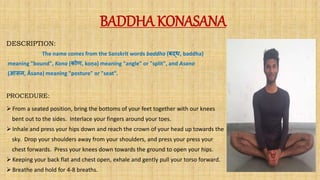 BADDHA KONASANA
DESCRIPTION:
The name comes from the Sanskrit words baddha (बद्ध, baddha)
meaning "bound", Kona (कोण, koṇa...