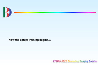 Now the actual training begins…
 