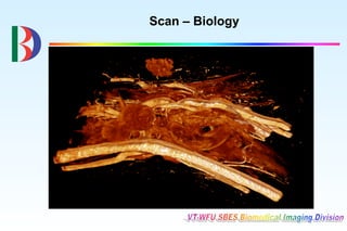 Scan – Biology
 