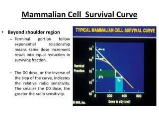 CELL SURVIVAL CURVES | PPTX