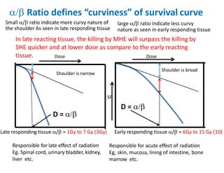 CELL SURVIVAL CURVES | PPTX
