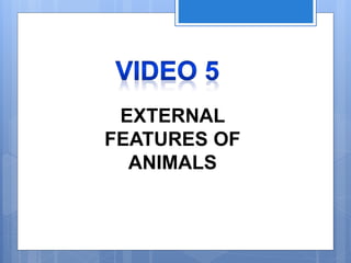 EXTERNAL
FEATURES OF
ANIMALS
 