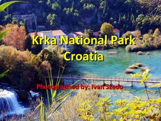 Krka National ParkKrka National Park
CroatiaCroatia
Photographed by: Ivan SzedoPhotographed by: Ivan Szedo
 