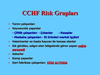 CCHF Risk Grupları T arım çalışanları  H ayvancılık  yapanlar  - Ç iftlik çalışanları - Ç obanlar  - K asaplar  - M ezbaha çalışanları  - E t ürünleri market işçileri   V eterinerler  ve  hasta hayvan ile teması olanlar  Sık görülen, salgın olan  bölgelerde görev yapan  sağlık personeli Askerler K amp yapanlar   Deri fabrikası çalışanları  RİSK ALTINDA 