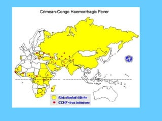 CCHF virus izolasyonu Risk altındaki ülkeler 