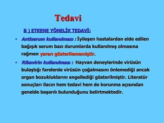 Tedavi B ) ETKENE YÖNELİK TEDAVİ: Antiserum kullanılması :  İyileşen hastalardan elde edilen bağışık serum bazı durumlarda kullanılmış olmasına rağmen  yararı gösterilememiştir.   Ribavirin kullanılması :   Hayvan deneylerinde virüsün bulaştığı farelerde virüsün çoğalmasını önlemediği ancak organ bozukluklarını engellediği gösterilmiştir. Literatür sonuçları ilacın hem tedavi hem de korunma açısından genelde başarılı bulunduğunu belirtmektedir. 