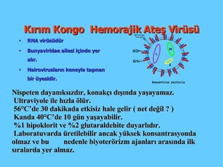 Kırım Kongo  Hemorajik Ateş Virüsü RNA virüsüdür Bunyaviridae ailesi içinde yer alır. Nairovirusların keneyle taşınan bir üyesidir. Nispeten dayanıksızdır, konakçı dışında yaşayamaz. Ultraviyole ile hızla ölür. 56°C’de 30 dakikada etkisiz hale gelir ( net değil ? ) Kanda 40°C’de 10 gün yaşayabilir. %1 hipoklorit ve %2 glutaraldehite duyarlıdır. Laboratuvarda üretilebilir ancak yüksek konsantrasyonda olmaz ve bu  nedenle biyoterörizm ajanları arasında ilk sıralarda yer almaz. 