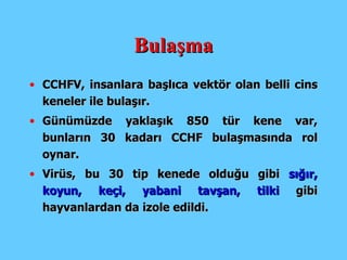 Bulaşma CCHFV, insanlara başlıca vektör olan belli cins keneler ile bulaş ır.   Günümüzde y aklaşık 850 tür kene  var, bunların 30 kadarı CCHF bulaşmasında rol oynar. Virüs, bu 30 tip kenede olduğu gibi  sığır, koyun, keçi, yabani tavşan, tilki  gibi hayvanlardan da izole edil di. 
