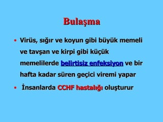Virüs, sığır  ve  koyun  gibi büyük memeli ve tavşan ve kirpi   gibi küçük memelilerde  belirtisiz enfeksiyon  ve bir hafta kadar süren geçici viremi  yapar İ nsanlarda  CCHF  hastalı ğı  oluşturur Bulaşma 
