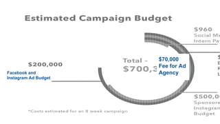 Estimated Campaign Budget
$500,000
Sponsored Instagram Posts Budget
$200,000
Facebook Ad Budget
*Costs estimated for an 8 week campaign
Total:
$700,360
$3,000
E-mail Retargeting Labor Costs
$960
Social Media Intern Pay
Facebook and
Instagram Ad Budget
$70,000
Fee for Ad
Agency
 